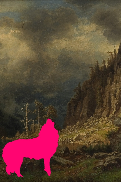 L&rsquo;APPEL DE LA FORÊT